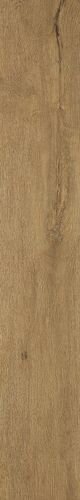 ROOTS 20X120 GOLD OUT R11