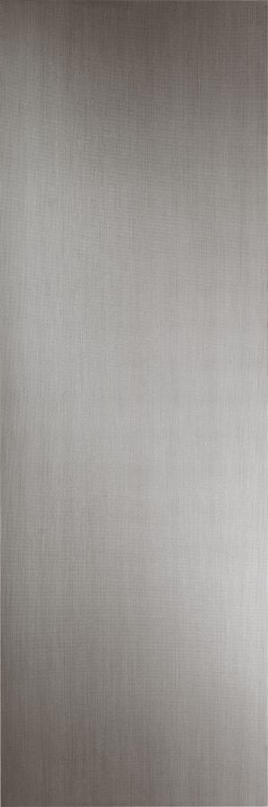 Filo Argento 100х300 3+ Filo Argento 100х300 3+
