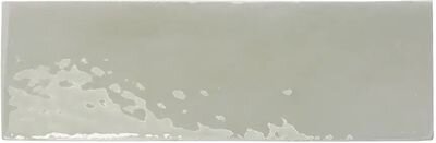 REBELS SAGE GLOSS