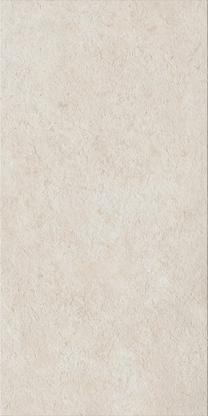 Fossil Pure 60X120 Ret X2 Fossil Pure 60X120 Ret X2