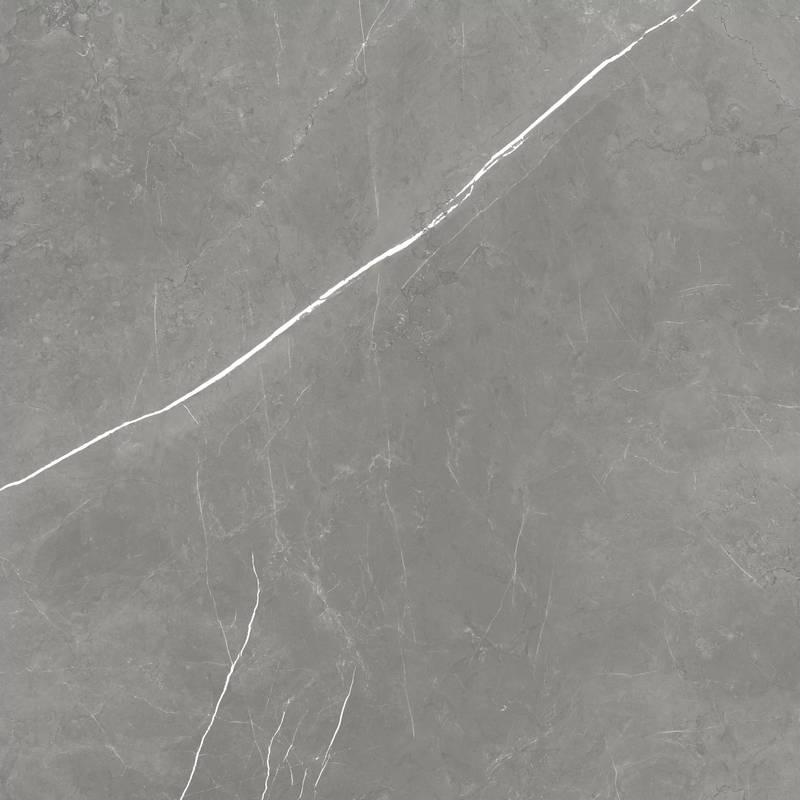 Керамогранит Forte Dei Marmi Elegant G. Rett 80x80