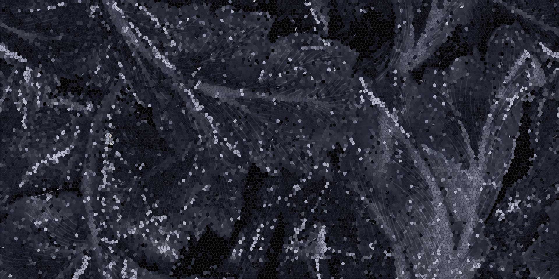 Tele Di Marmo Revolution Calacatta Black Lappato 60x120