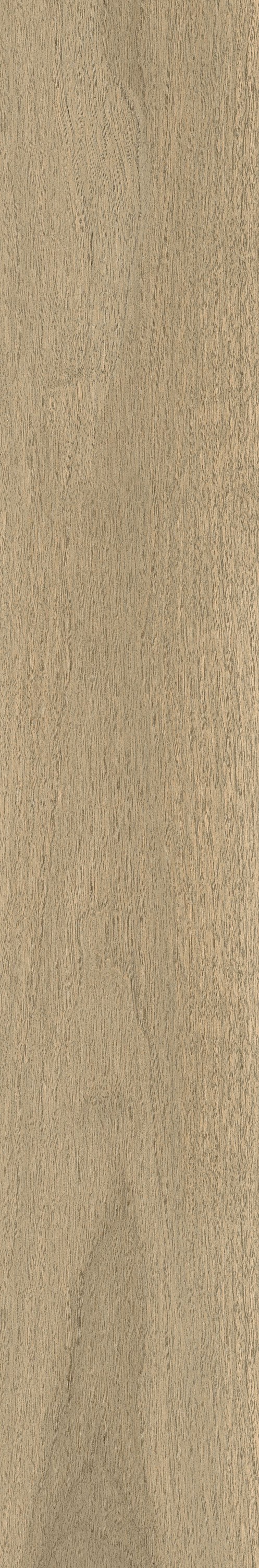Бормио Фоновая плитка Хани 20x120