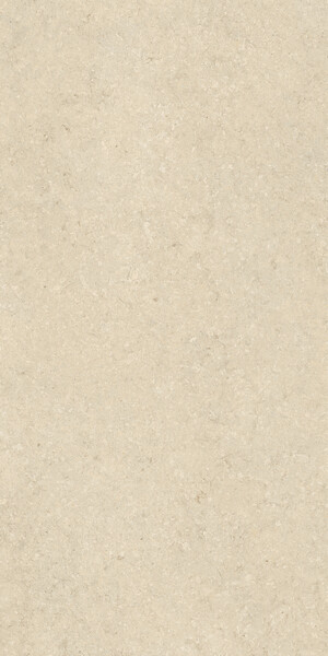 Керамогранит NYRA UTOPIA Acacia 120x240