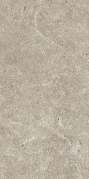 Nyra Mist 60x120