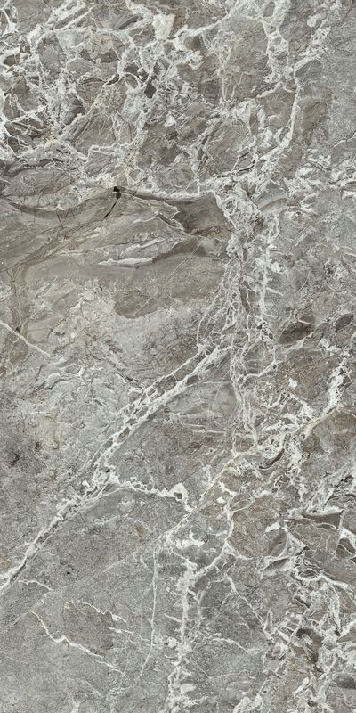 AUTHENTIC MARBLE AUBISQUE GLOSSY 60X120 RET