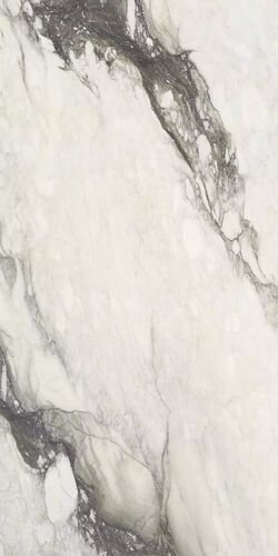 ETOILE RENOIR GLOSSY 6MM 120X280 RET