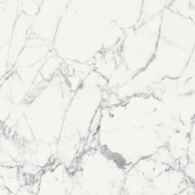 ORIGINES DE REX BLANC MAT 6MM 120X120 R
