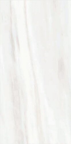 ORIGINES DE REX O.DOREE MAT 6MM 60X120R