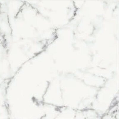 ORIGINES DE REX BLANC MATTE 60X60 RETT