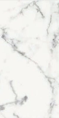 ORIGINES DE REX BLANC MATTE 30x60 RETT
