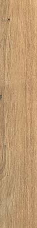 PLANCHES DE REX NOISETTE  20x180 RET