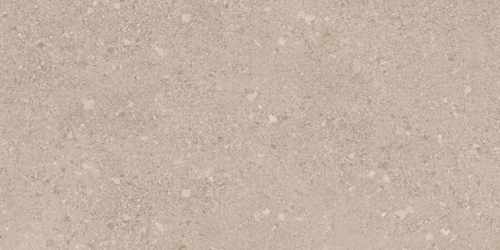 Basis Pro 430936
