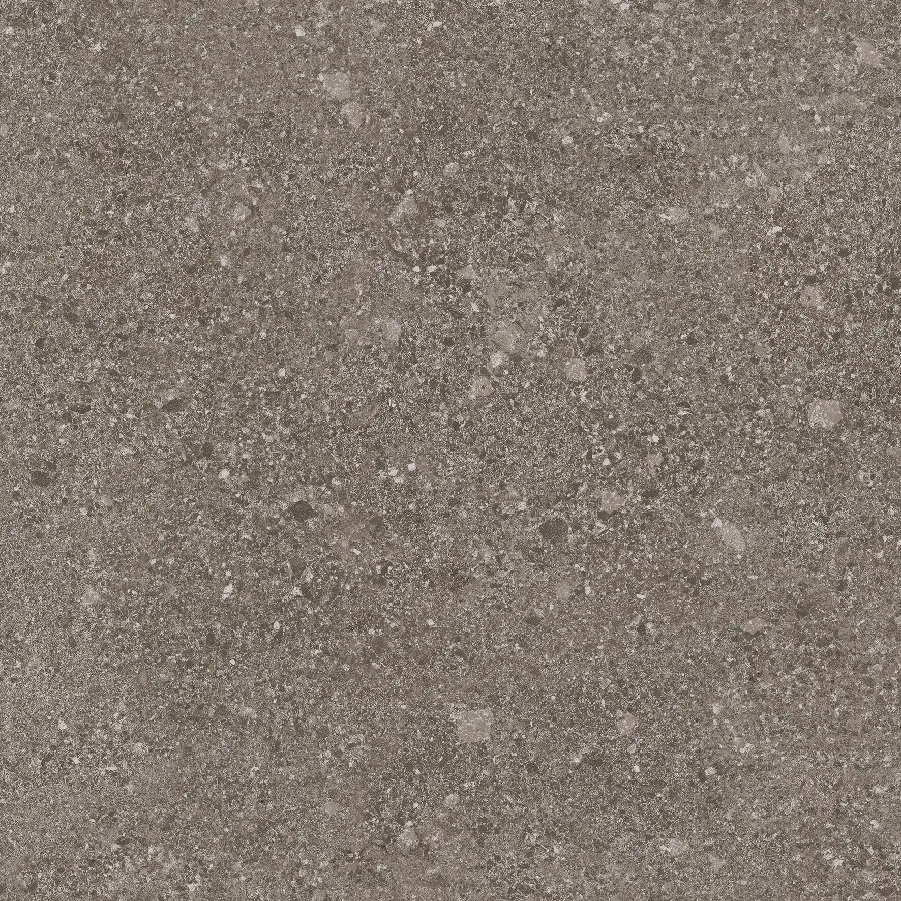 Basis Pro 430912