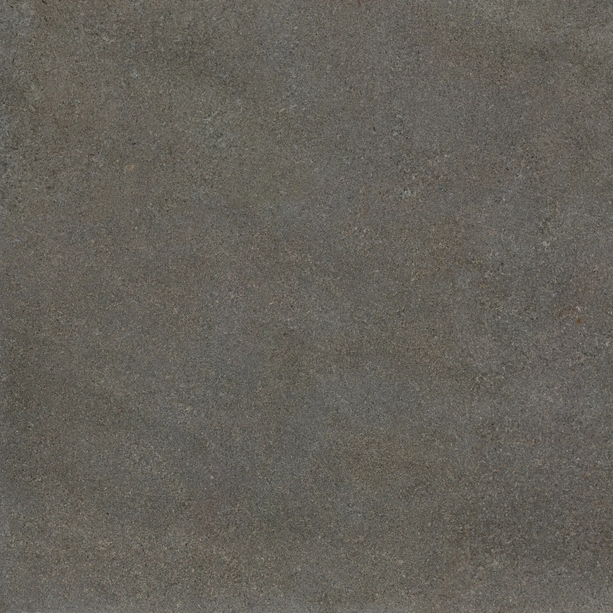 Area Pro 435744