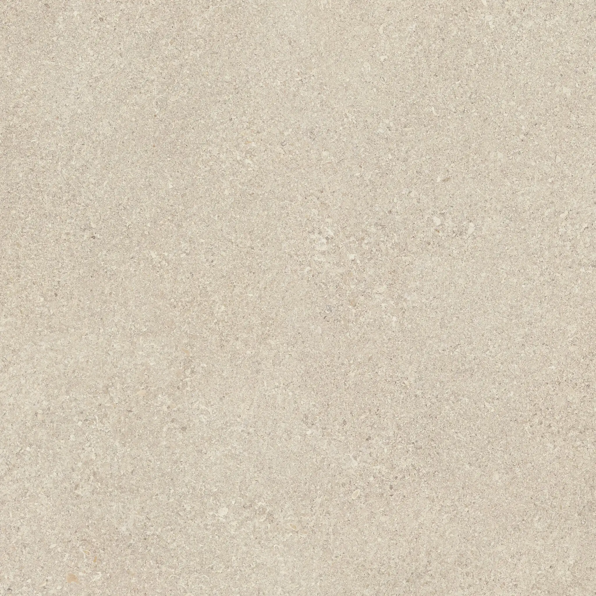 Area Pro 430384H