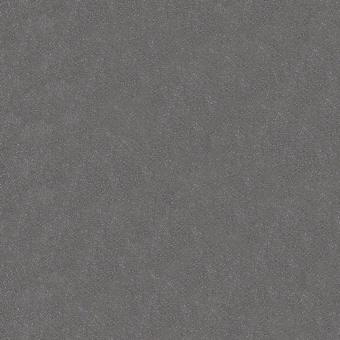 Basis 3 620249-072