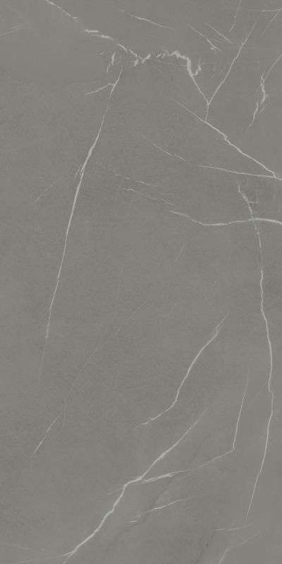 IN-SIDE Pietra Piasentina Grigio Fiammato 120x300 5+ IN-SIDE Pietra Piasentina Grigio Fiammato 120x300 5+