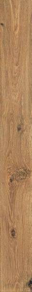 ROOTS 20X180 GOLD MATT R9 ROOTS 20X180 GOLD MATT R9