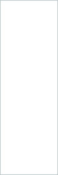 Solo Bianco 100х300 5