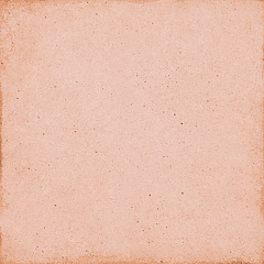 EQUIPE ART NOUVEAU Coral Pink