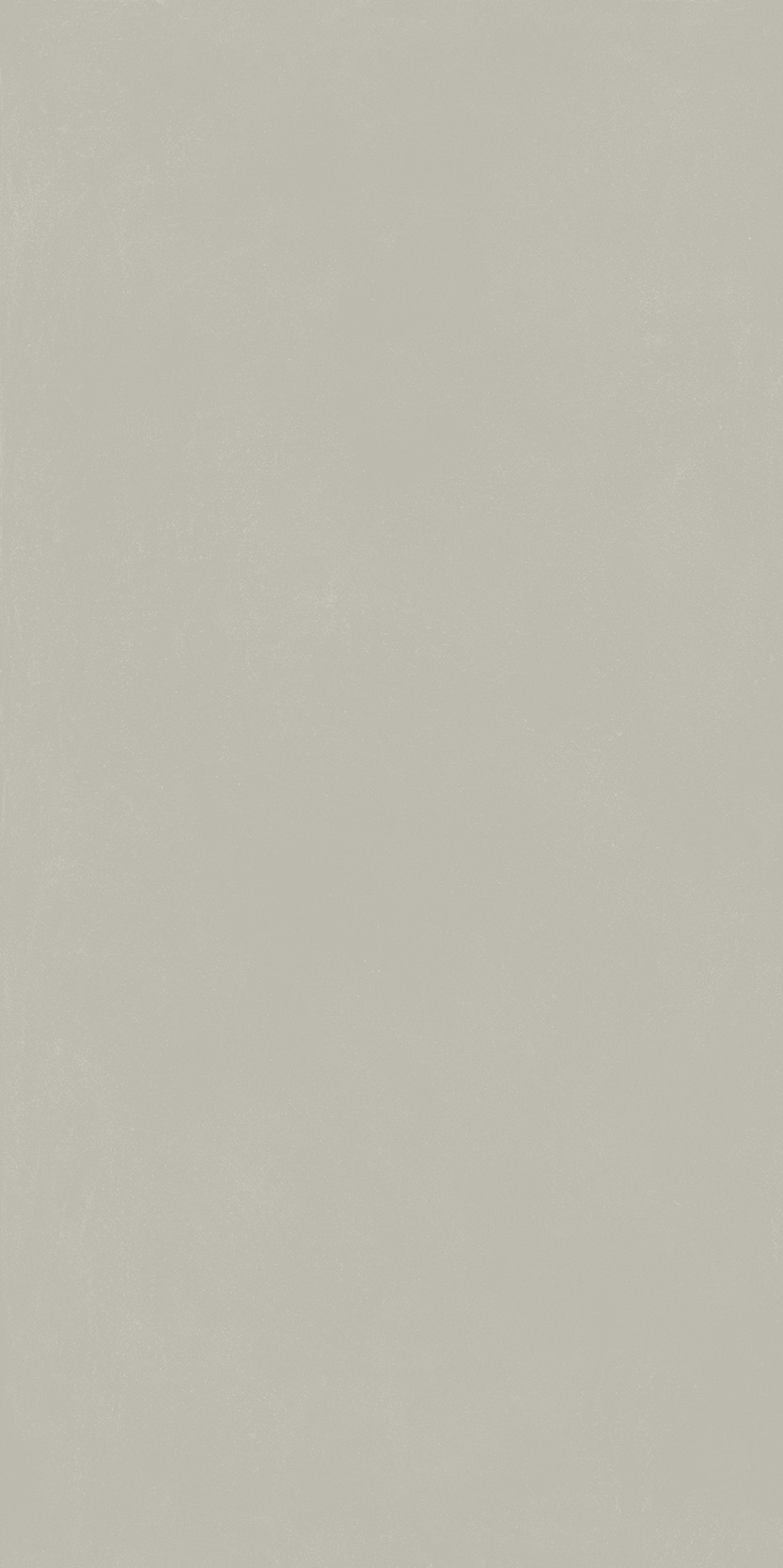 Слим Сильвер Натуральный 60x120 cm