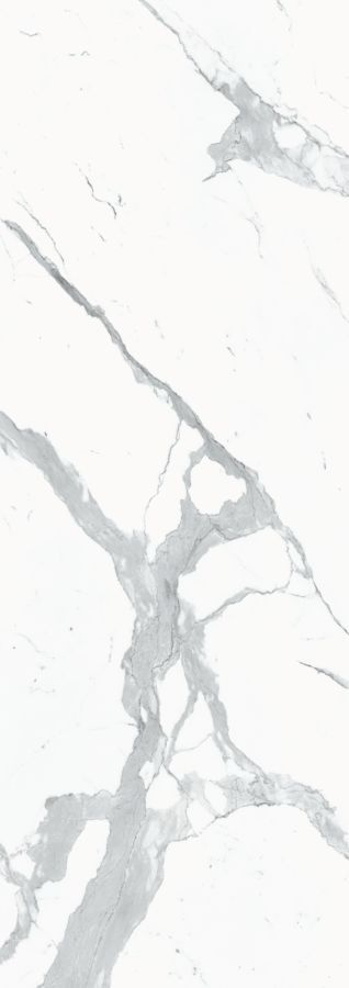 I Naturali Bianco Statuario Venato Lucidato* 100х300 5