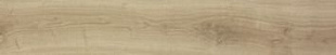 NEST 20X120 MAPLE MATT