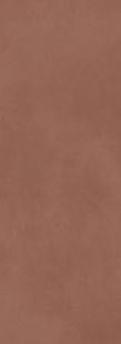 Calce Terracotta 100х300 3+