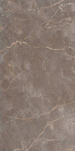 ROMA STONE 80X160 PIETRA BROWN MATT