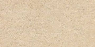 CONPROJ 36B
