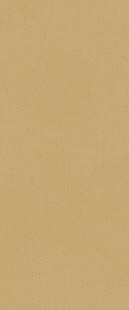 TRUE COLOR 50X120 CARAMEL MATT