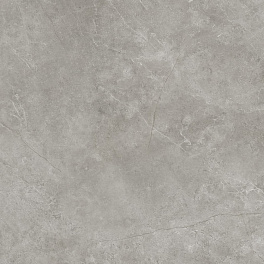 PORCELANOSA XLIGHT FIORI DI BOSCO SILK 120х120x6 G-2530 / ПОРCЕЛАНОСА XЛИГHТ ФИОРИ ДИ БОСCО СИЛК 120х120x6 Г-2530
