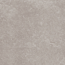 PORCELANOSA VERBIER SILVER L 59.6х59.6 G-354 / ПОРCЕЛАНОСА ВЕРБИЕР СИЛВЕР Л 59.6х59.6 Г-354