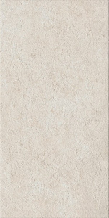 Fossil Pure 60X120 Ret X2
