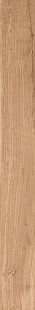 FAPNEST 20X180 NATURAL MATT R9