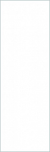 Collection Bianco Assoluto Lucidato 100х300 5
