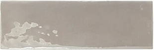 REBELS GREY GLOSS